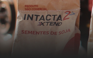 Sacola de sementes de soja Sacola de sementes de soja